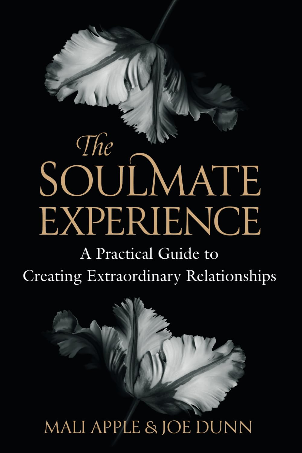 The Soulmate Experience